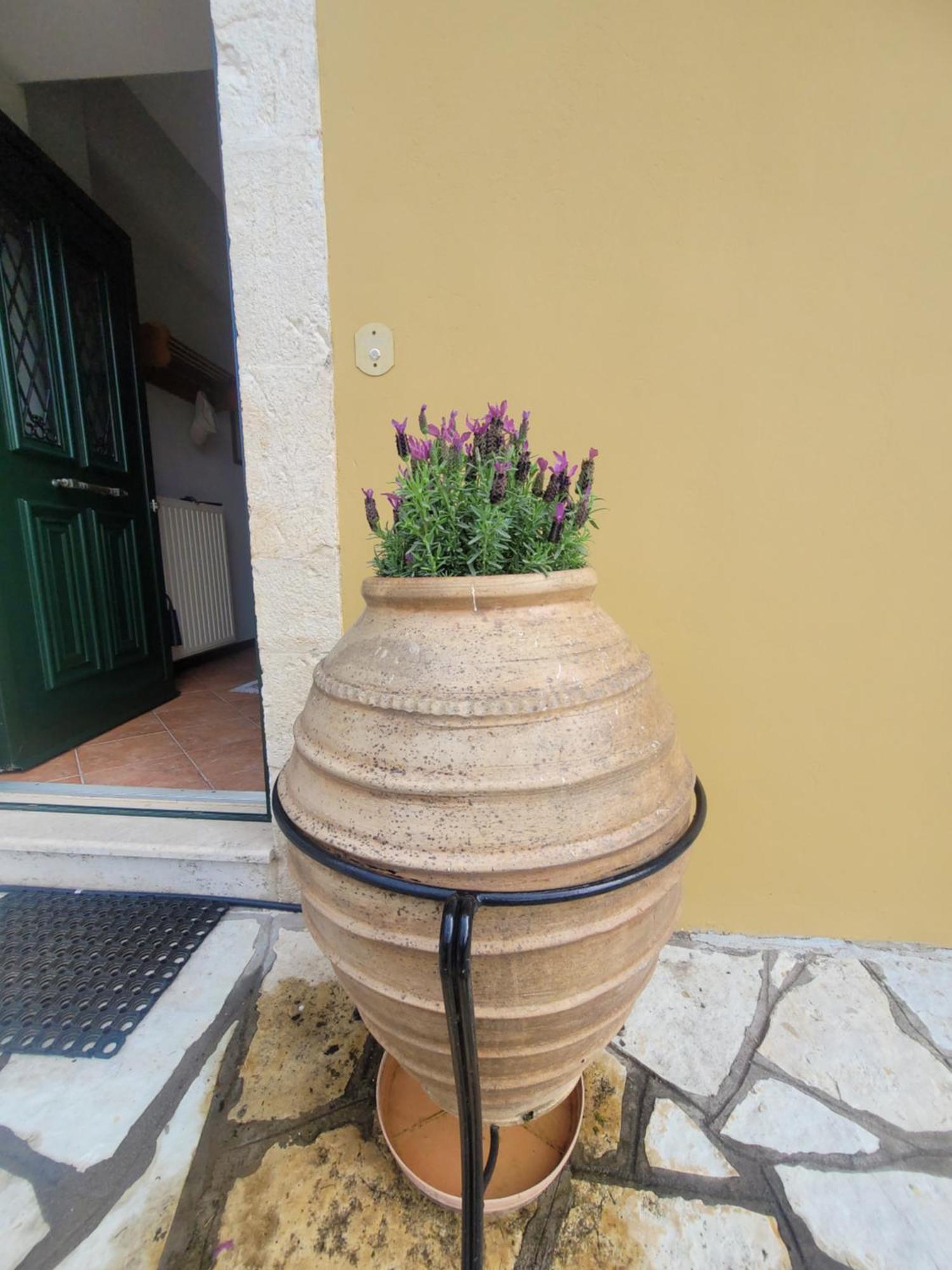 Palairos Historic Property Exterior photo
